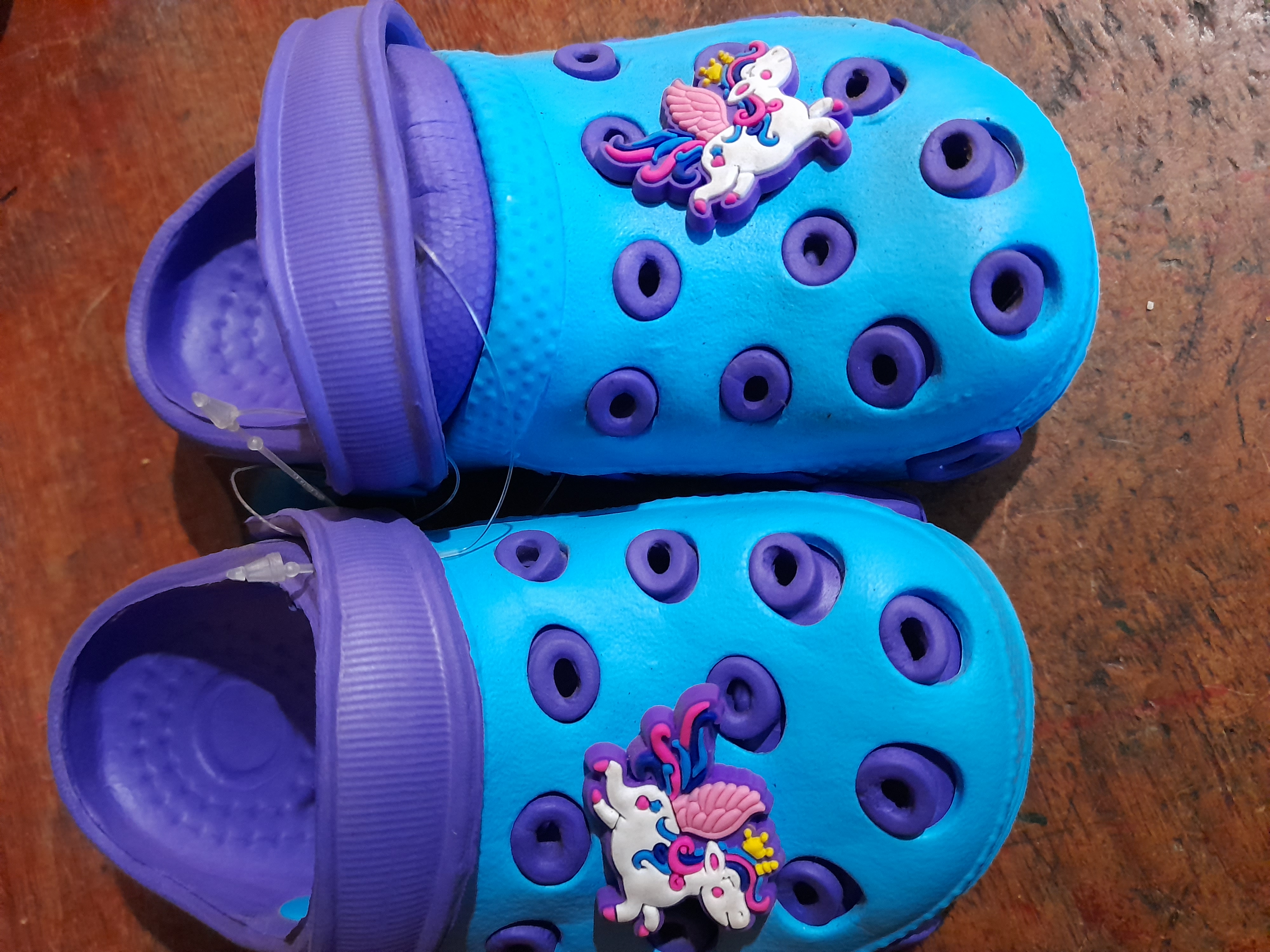 Sapo celeste y morado